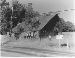 Barn located at intersection of Stony Point and Roblar roads, Cotati, California, 1956