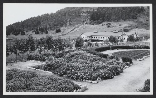 [view of gardens]