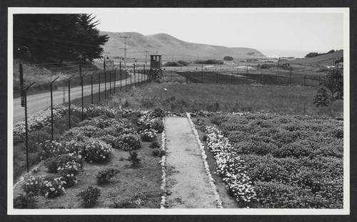 [view of gardens showing guard tower and fences]