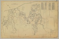 Hillsborough Lands Occuiped by Japanese