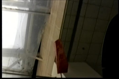 Tests, LF?, Presentation of Lindbergh Award to Sylvia Earle (part 1 of 2) (Video)