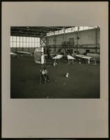 Gossamer Albatross (7 items)