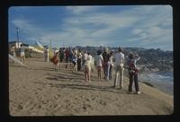 Hang Gliding (230 items)