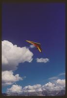 Slides. 1981-1983 (125 items)