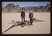 Quetzalcoatlus Northropi (QN or Pterodactyl) (74 items)