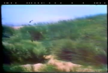 Miscellaneous Science (Tyler MacCready Walkalong, Fly Bower, Flapping, QN, Pogo, Van Sant) (Video)