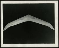 Tyler MacCready - Walkalong Glider (8 items)