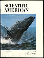 The amateur scientist: a field formula for calculating the speed and flight efficiency of a soaring bird, Scientific American