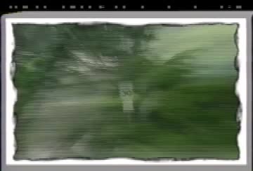 Go Farther with Charger Electric Bicycles (Video)