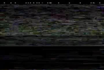 Vortex brief (Video)