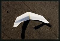 Plane Models/Taras Kiceniuk (20 items)