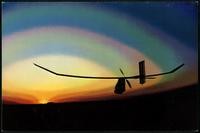 Bionic Bat (10 items)