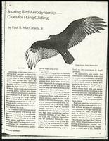 Soaring bird aerodynamics - clues for hang gliding, Ground Skimmer (3 items)