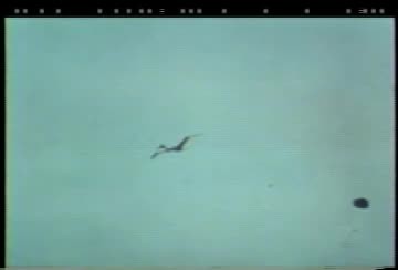 Stone-Halinan. Paul MacCready, Ph.D. 1988. Various clips (Video)