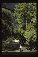 Slides. 1970-1972 (132 items)