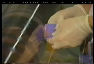 Real TV Gossamer Penguin breaks (Video)