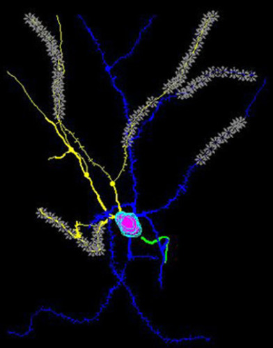 Microscopy product ID: 1