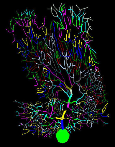 Microscopy product ID: 2