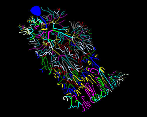 Microscopy product ID: 4