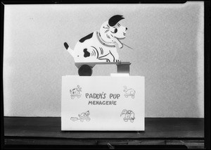 Paddy's Pup, Southern California, 1931