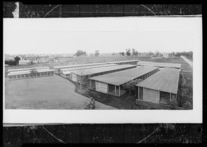 Mink farm, Southern California, 1934