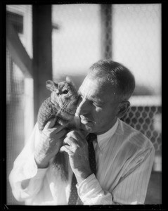 Chinchilla farm, Southern California, 1934