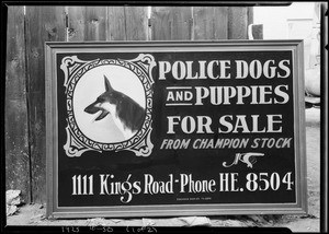 Success Sign Co., Los Angeles, CA, 1925