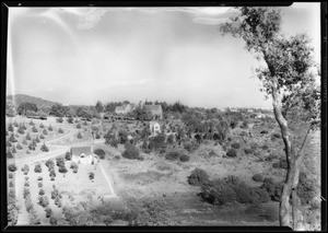 California Botanic Garden, views of canyon, Southern California, 1928