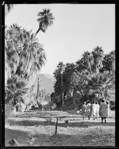 Scenes in Palm Canyon, Southern California, 1931