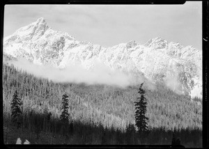 Logging, Union Oil Co., Southern California, 1932