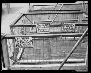 Clune Loopa signs at Venice Pier, Los Angeles, CA, 1940