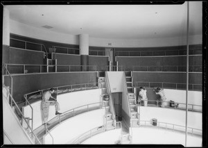 Men laying linoleum in amphitheater at County Hospital, Los Angeles, CA, 1932
