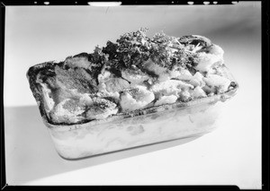 Glass dish of scalloped potatoes, Southern California, 1931