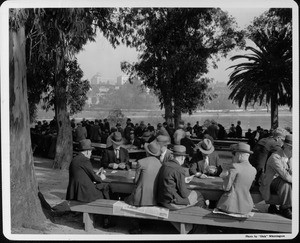 A large group of men gathered in Westlake Park, with old men playing cards in the foreground