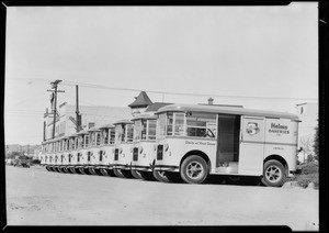 New delivery cars, Helms Bakeries, Southern California, 1931