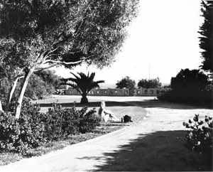 A woman sitting in a park on a hill