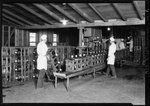 Fleet of trucks and interior shot of plant, Southern California, 1929