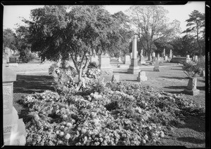 Flowers on Bradley grave at Rosedale, Los Angeles, CA, 1931