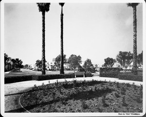 Circular drive through residential cul de sac featuring landscaping with palm trees in upscale residential area