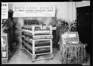 David Lowe Ranch booth, poultry show, Southern California, 1930