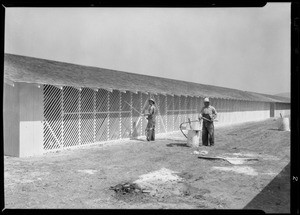 Poultry farm, Runnymede, Southern California, 1928