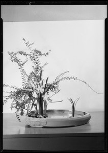 Flower arrangements, Southern California, 1935