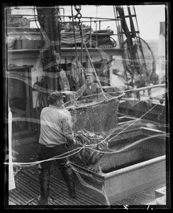 Shots at harbor, Southern California, 1936