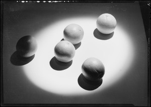 Oranges and shadows, Southern California, 1932