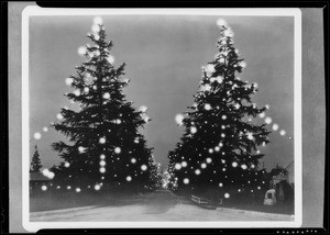 Christmas Tree Lane, Altadena, CA, 1931