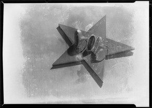 Rings on a star, Southern California, 1929