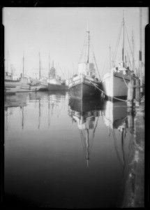 Fishing fleet at Seattle, WA, 1932