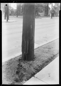 Intersection of East Avenue 26 and Sichel Street, Los Angeles, CA, 1931