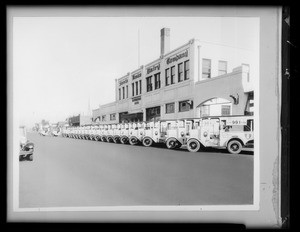 Santa Monica Dairy, Southern California, 1931