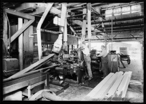 Catalog shots, Whiting Mead Co., Southern California, 1928